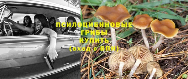 хмурый Нязепетровск