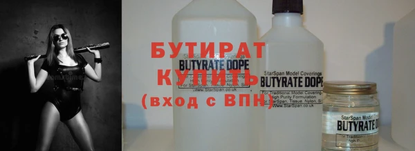 индика Новодвинск