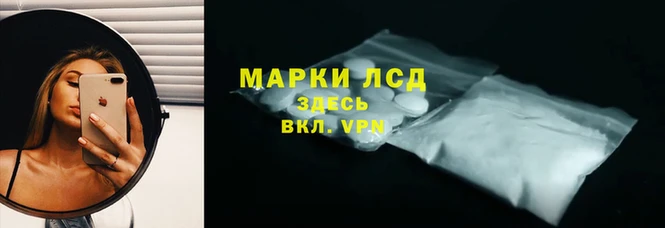 шишки Инта