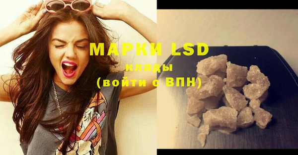 ПСИЛОЦИБИНОВЫЕ ГРИБЫ Няндома